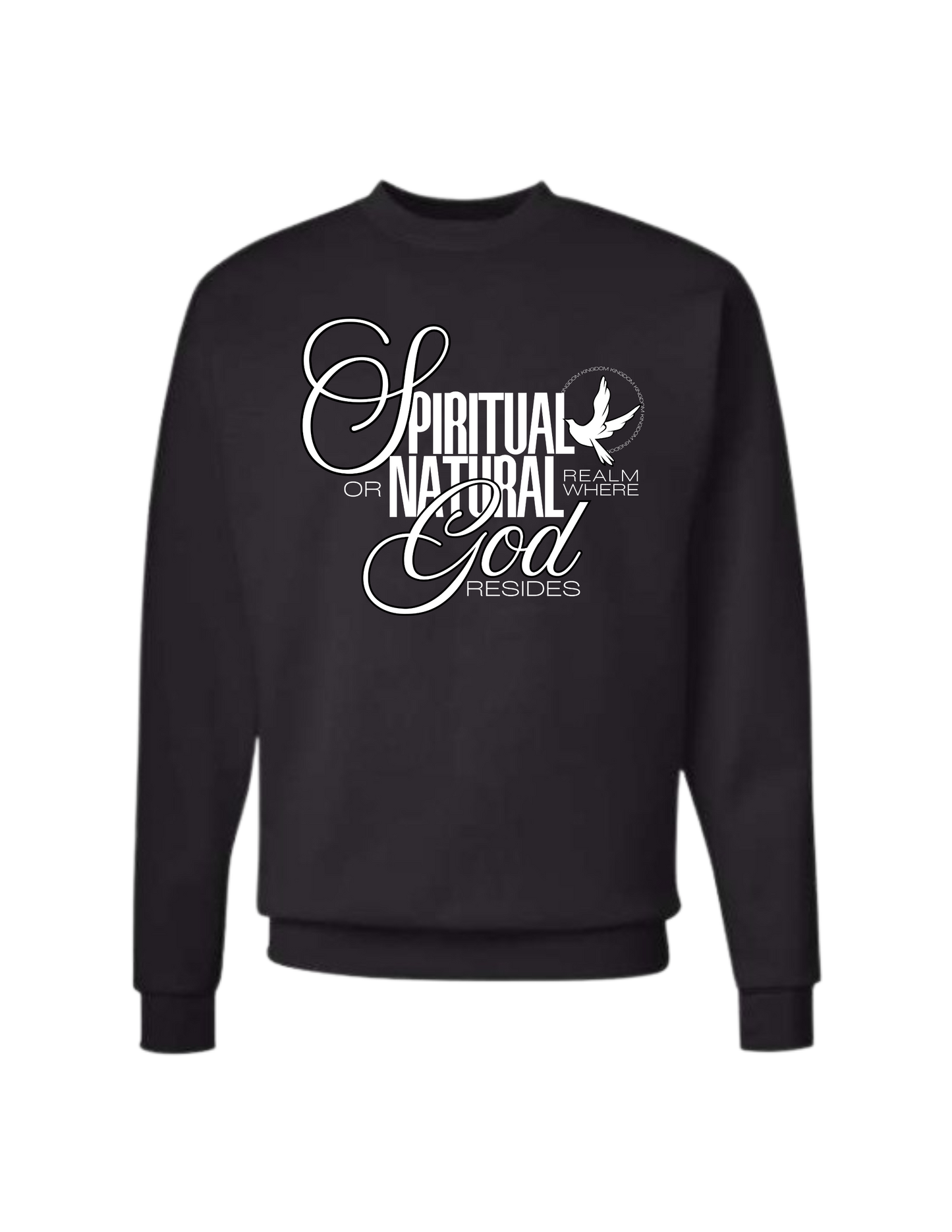 Kingdom Definition Graphic Sweatshirt