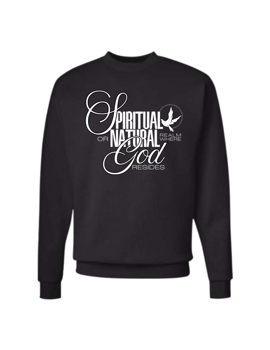 Kingdom Definition Graphic Sweatshirt